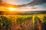 Gorgeous sunset over beautiful green vineyards in the countryside around Tuscany. Generative AI
