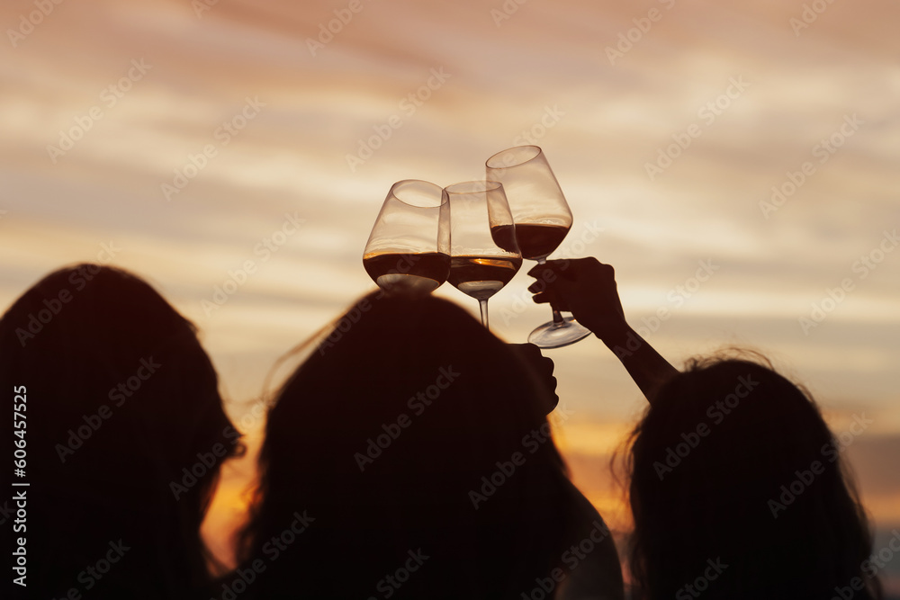 The girls arranged a picnic at sunset. Picnic in the fresh air with wine. Close-up of the girls' hands as they clink glasses with wine.