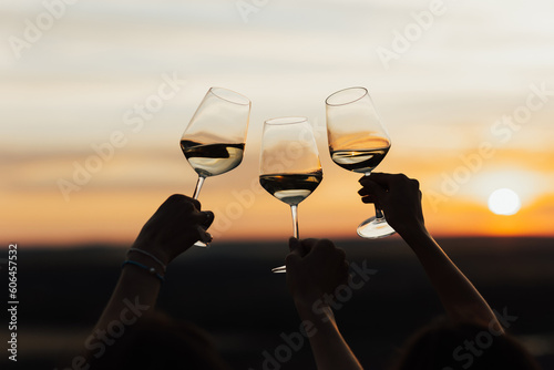 Group of friends with white wine in hands clinking with glasses. Close-up of hands and drinks. Beautiful scenic sunset. 