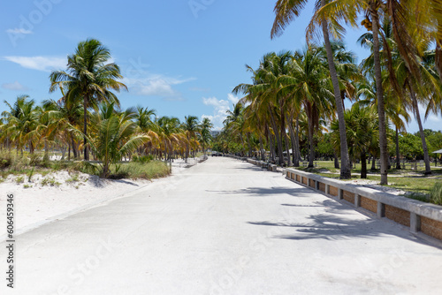 Key Biscane Beach Path Lined with Palm Trees