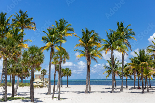 lifeguard hut on beach with palm trees