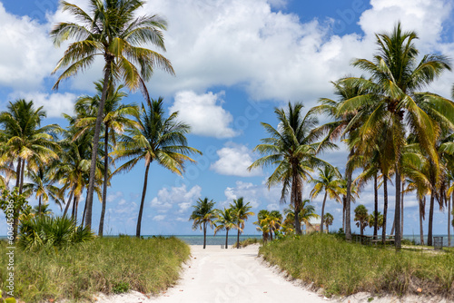 Fototapeta Naklejka Na Ścianę i Meble -  Key Biscane Beach Path with Palm Trees