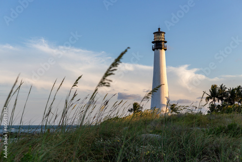 Cape Florida Lighthouse Tall Grass