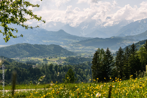 Summer landscape Windischgarsten Totes Gebirge  Upperaustria