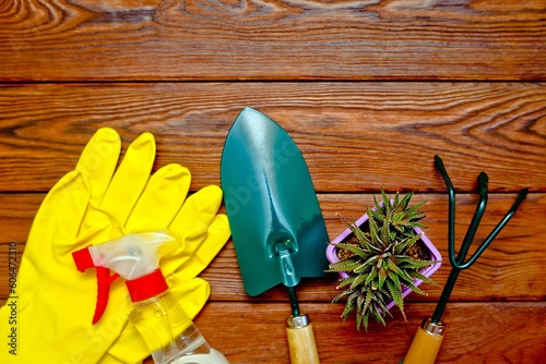 Garden tools on the background of a brown wooden table 