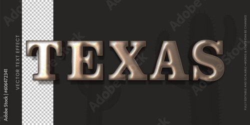 Vector texas text editable 3d style text effect