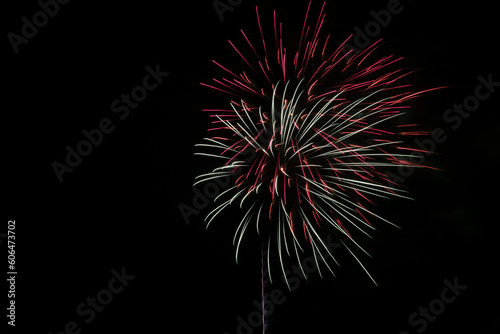 fireworks in the night sky