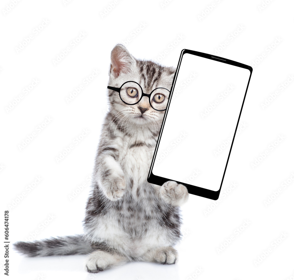 Smart kitten wearing eyeglasses holds big smartphone with white blank screen in it paw, showing close to camera. isolated on white background