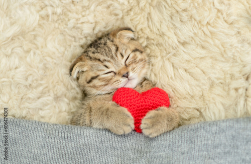 Cute fold kitten covered warm plaid hugs red heart on a bed at home. Valentines day concept. Top down view