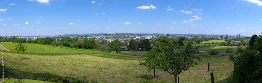 Wide angle landscape at City of Zürich district Schwamendingen with orchard, meadow and skyline in the background on a sunny spring day. Photo taken May 26th, 2023, Zurich, Switzerland.