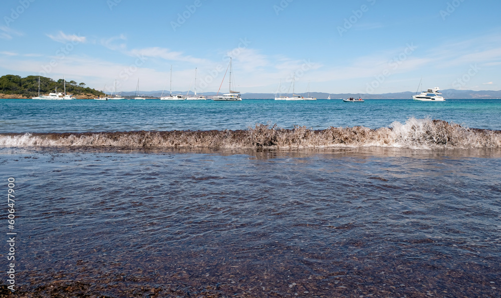 Brown algae tide on the beach. The surf. Pollution of seawater. The watercraft and yachts are in the distance. Porquerolles Island, Provence, France.