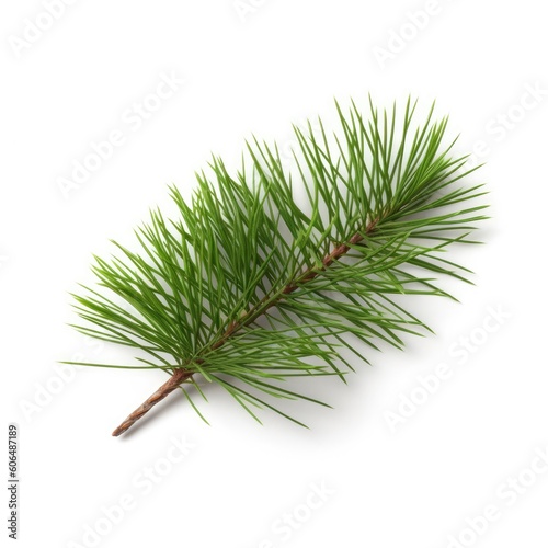Pine needle leaf isolated on white background. Generative AI