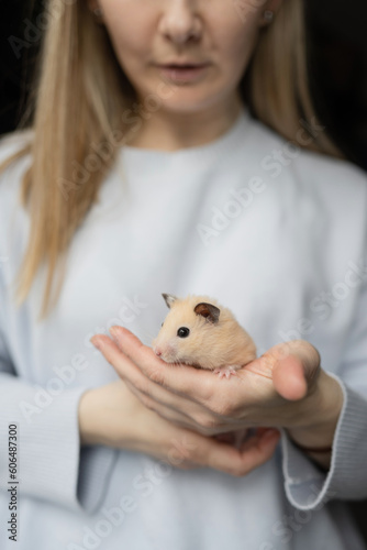 Crop anonymous woman standing with pet hamster in hand photo