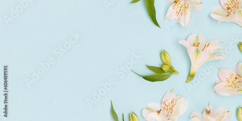 Fototapeta Naklejka Na Ścianę i Meble -  Banner with white alstroemeria flowers and green leaves scattered on a blue background. Place for text.