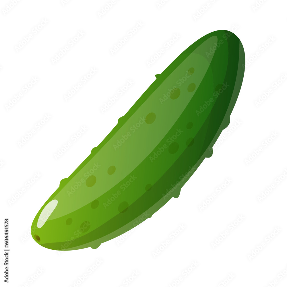 cucumber isolated on white background cucumber isolated on white background