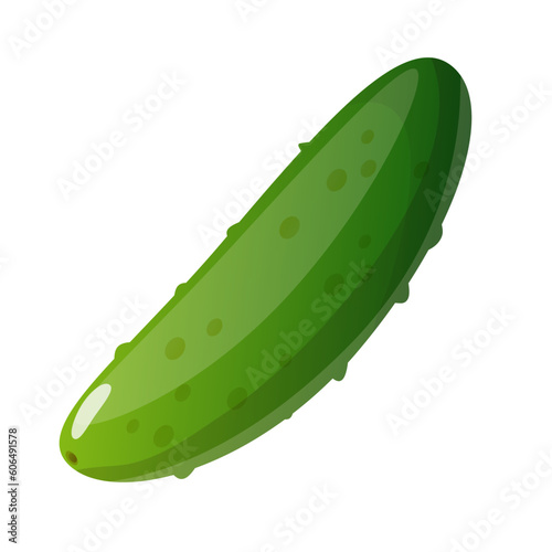 cucumber isolated on white background 