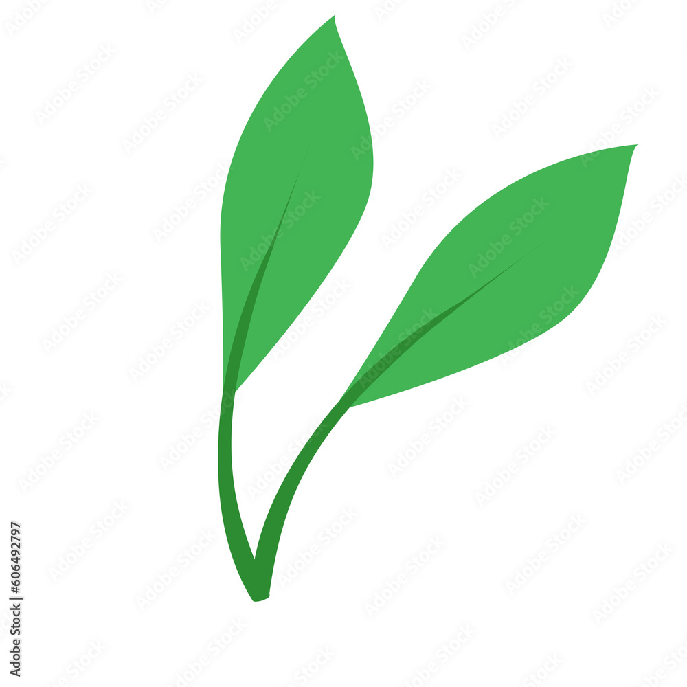 Simple flat long tree leaf green two