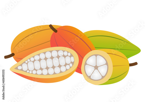 Fresh Cocoa Fruits, Cacao Beans, Cocoa Pod. Vector Illustration Isolated on White Background.	
