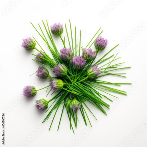 Chives isolated on white background. Generative AI
