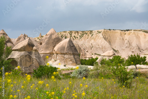Obraz na płótnie Cappadocia, Turkey. Love Valley w salonie