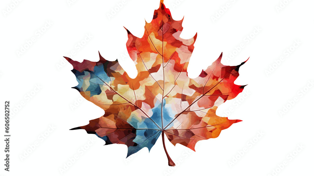 Fototapeta premium maple leaves isolated on white
