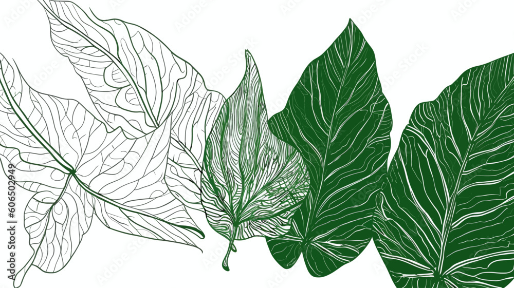 leaves vector, design elements, frames, calligraphic. Vector floral illustration with branches, berries, feathers and leaves. Nature frame on white background