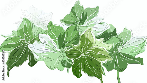 green leaves isolated, design elements, frames, calligraphic. Vector floral illustration with branches, berries, feathers and leaves. Nature frame on white background