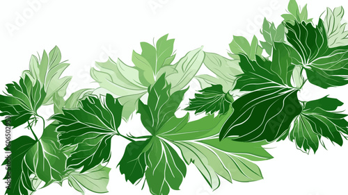 parsley isolated on white, design elements, frames, calligraphic. Vector floral illustration with branches, berries, feathers and leaves. Nature frame on white background