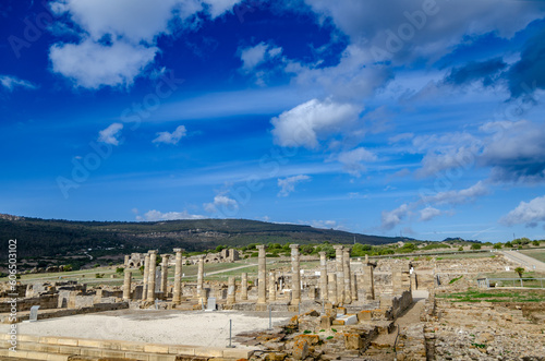 Baelo Claudia is an ancient Roman city, located near the city of Tarifa, Spain. The ruins of the ancient city are located by the sea photo