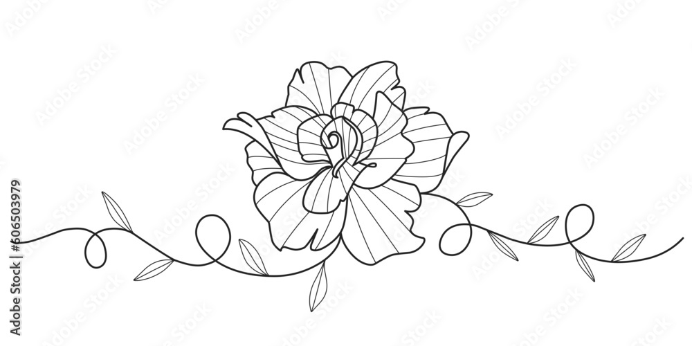 Rose flower line art style vector background Rose flower line art style vector background