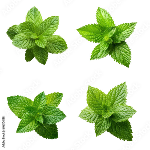 Fresh green mint leaves isolated on white background, created with generative AI