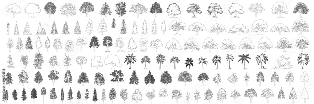 Minimal style cad tree line drawing, Side view, set of graphics trees elements outline symbol for architecture and landscape design drawing. Vector illustration in stroke fill in white. Tropical, oak