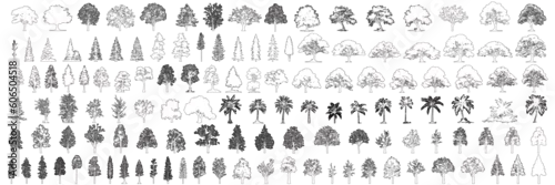 Obraz Minimal style cad tree line drawing, Side view, set of graphics trees elements outline symbol for architecture and landscape design drawing. Vector illustration in stroke fill in white. Tropical, oak