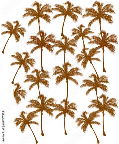 palm tree meter pattern