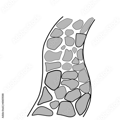 Stone Path Vector Illustration 