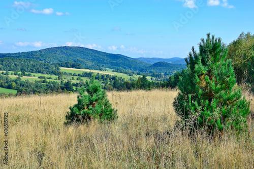 Beautiful summer landscape in the mountains with green meadows and forested hills. Low Beskids (Beskid Niski), Poland