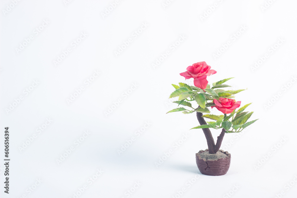 Mini pot flower ornament isolated on white background.