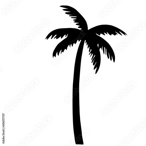 Coconut Tree Silhouette