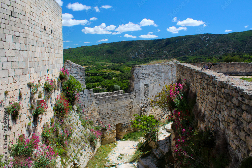 Lacoste und seine Burg im Luberon in der Provence Lacoste und seine Burg im Luberon in der Provence