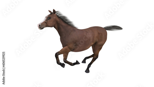 3D rendering handsome brown stallion galloping, Running Brown Horse. Thoroughbred horse isolated on white background, Bay horse run gallop © 2D