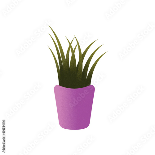 houseplants in pots with grain texture vector illustration, succulent, cactus