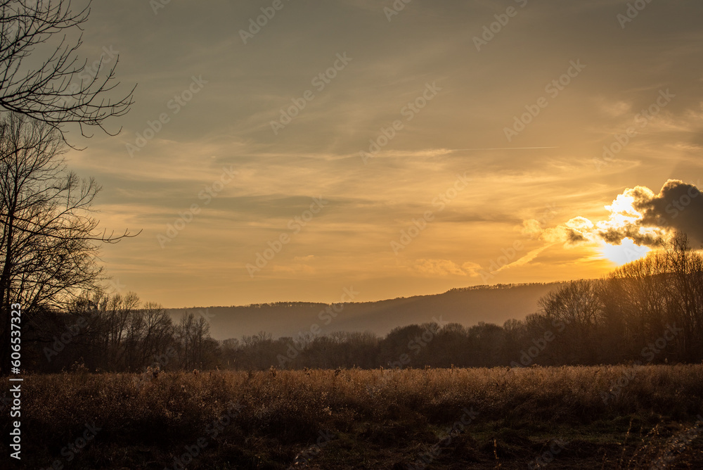 Beautiful sunset over a golden field.