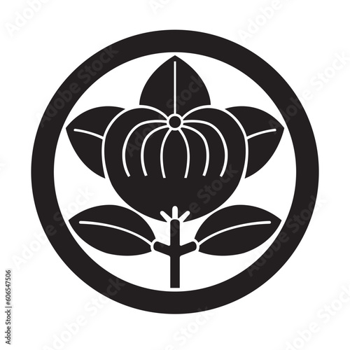 家紋　橘