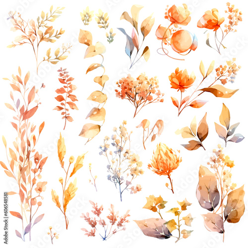 set of atumn floral watercolor, flower watercolor, leaves watercolor