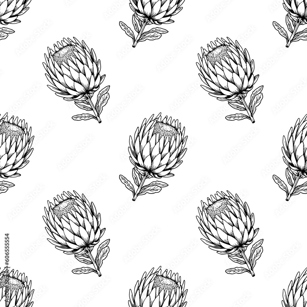 Protea flower line art seamless pattern. Black outline vector botanical ...