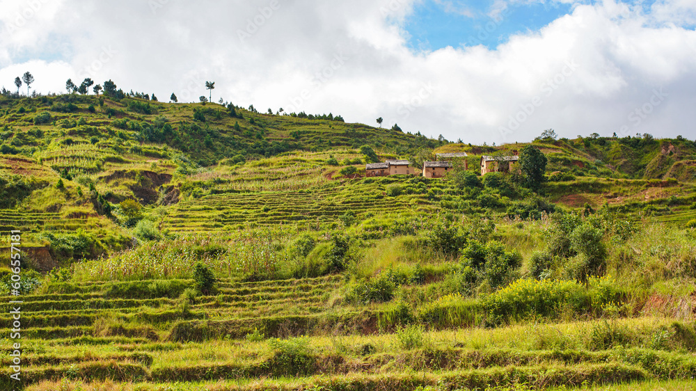 Typical Madagascar landscape - green and yellow rice terrace fields on small hills with clay houses in region near Mahatsanda