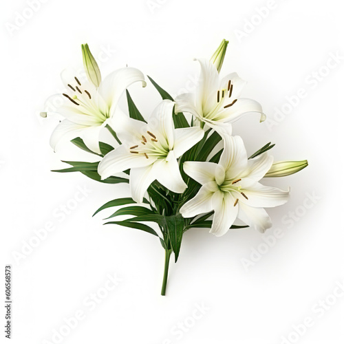 White blooming lilies lily on white background © StevenStocks