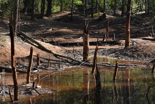 Ścieżka Geoturystyczna, Dawna Kopalnia Babina, Łeknica, krajobraz, park,