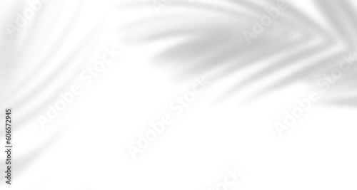 Realistic blurred natural light leaves, palm and window shadow overlay on wall paper or frames texture, abstract background, summer, spring, autumn for product presentation podium and mockup seasonal.
