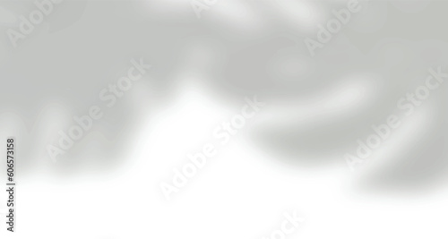 Realistic blurred natural light leaves, palm and window shadow overlay on wall paper or frames texture, abstract background, summer, spring, autumn for product presentation podium and mockup seasonal.